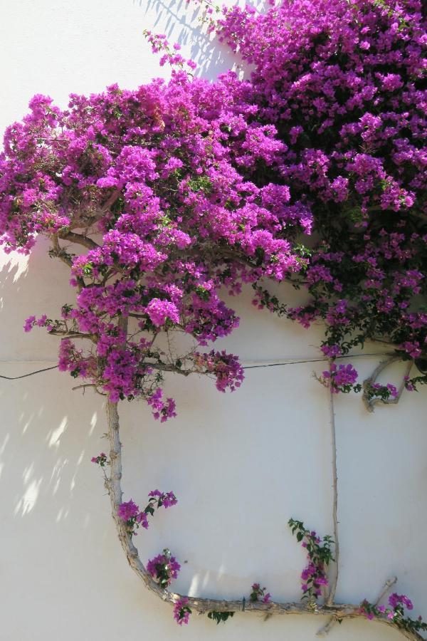 Las Rocas - Casa Diaz Roses Extérieur photo